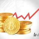 천하메디칼 이미지