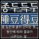 종두득두(種豆得豆) 이미지