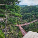 모든이식당 | 거창맛집추천 가조면 항노화힐링랜드 근처 가족외식 흑돼지석쇠구이 맛집 모든식당 후기
