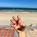 나이스마트청라자이점 | [여행/베트남] 나도 가봤다 경기도 다낭시!!!우기였지만 나는 날씨요정이란 말이야