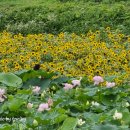 부산광역시 기장군청 주차장 이미지