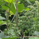 도룡경로당 이미지