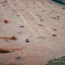 자정농장 이미지