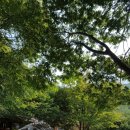 느티고을펜션 이미지