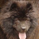 화봉농장 이미지