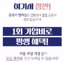 몽몽이 | 몽몽이멤버십 가입 후기 다양한 곳을 할인 받아 이용할 수 있네요
