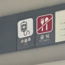 이김병원 | 강남차병원 자궁근종 로봇복강경 수술 후기 ④｜수술 다음날, 무통주사 없이 걸어보기