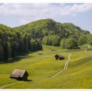 지역사회복지론 이미지