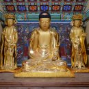 무안-1호 이미지