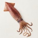 성은모텔 이미지