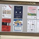 과학실험왕 유치부 이미지