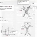 제8장 HS 기능의 확인과 향상 방법 - 12(Easy peel 발현 검사와 이용) 이미지