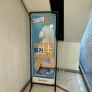 오 마이 펑키 / 쨍쨍한 색감배경으로 만삭사진촬영하고 왔어요