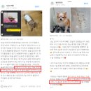 캐비어동물메디컬센터 | 화성동물병원, 용인보호자님이 7년이상 아이들의 건강검진을 맡긴 이유