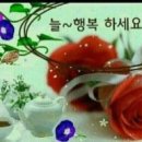 오늘하루 Daum카페
