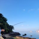 방파제 낚시 편의점 | [거제 금포방파제 낚시 후기] 조용하고 한적하게 즐기는 낚시