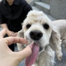 목적지9 이미지