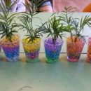 동신파이디온 이미지