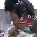 해변의 꽃게 이미지