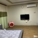 토리푸하우스 이미지