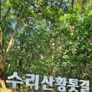 수리산 산림욕장 이미지