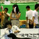 HIGH-CLASS 이미지