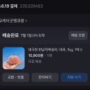 용용팜 | [토스쇼핑 반납작복숭아] 대극천 반납작복숭아 내돈내산 후기! 당도·가격 솔직리뷰