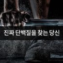 프로틴컴퍼니