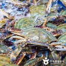 찬우물도원 | [K-로컬 미식여행 33선] (1) 한국의 독보적인 밥도둑, 간장게장