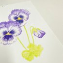 꽃그림 색연필화 | 파주화실 다율동미술 운정성인미술 색연필화 원데이클래스