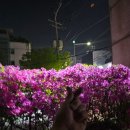 휴맥스휘트니스클럽 이미지