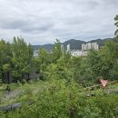 옥 천 네이버블로그