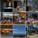 도토리카페 - 강북구 노해로33길 10 | 제주 애월카페 도토리, 디저트 맛있는 느좋 신상 카페 후기