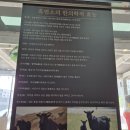 30년전통순이네염소 이미지