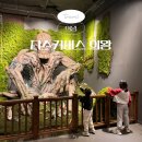 테마가 있는 안양소리여행 | 과천 안양 아이와 가볼만한곳 디스커버스 의왕 실내 테마파크 경기도 대형 키즈카페