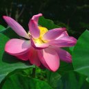 수선정사 이미지