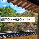 용평동 용호정 네이버블로그