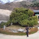 맷돌로69 이미지