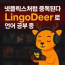 [HD]디지털 마케팅을 위한 Google Analytics 제대로 배우기 Part.1 | 링고디어(LingoDeer) 사용법 8단계와 실제 후기, 아시아 언어 학습 특화 기능까지
