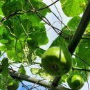 산우 농장 이미지