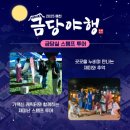 2025 금당야행 이미지