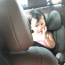 사라앤마르코 이미지