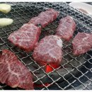 연춘
