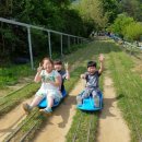 용인대 금곡 태권도 이미지