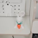 지혜로운생활연구소 이미지