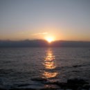 포유콘도 이미지