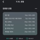 주간일기 | 231113-231119 | 갓생과 혐생사이…