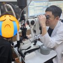 백내장 증상인 줄 알았는데... 청천벽력 녹내장 진단받은 후기