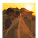 더 해밀 이미지