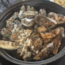 풍년수산 | 🚀 여수 학동 맛집 끝판왕! 굴찜 무한리필 15,000원 실화?! 🦪 학동수산시장 가성비 후기!